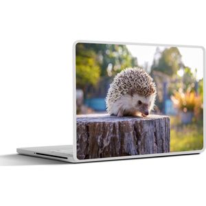 Laptop sticker - 17.3 inch - Egel op een boomstam - 40x30cm - Laptopstickers - Laptop skin - Cover