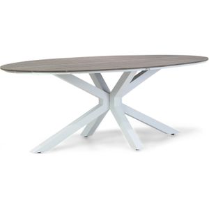 Lifestyle Panama dining tuintafel ellipse  220 x 115 cm