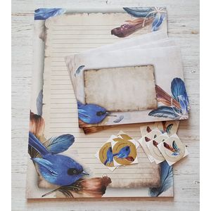 Briefpapier Veertjes - 12 vellen A4 papier - 6 enveloppen met sluitstickers - Meer Leuks - Postpapier Veren en Vogel