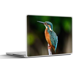 Laptop sticker - 13.3 inch - Takken - IJsvogel - Park - 31x22,5cm - Laptopstickers - Laptop skin - Cover