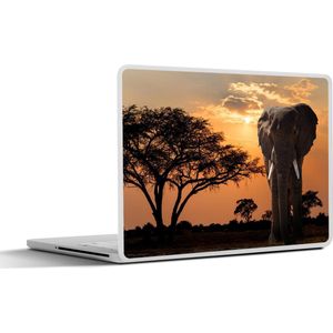 Laptop sticker - 11.6 inch - Olifant - Boom - Afrika - 30x21cm - Laptopstickers - Laptop skin - Cover