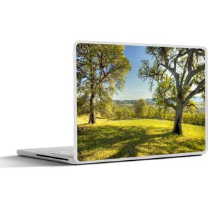 Laptop sticker - 11.6 inch - Boom - Gras - Amerika - 30x21cm - Laptopstickers - Laptop skin - Cover
