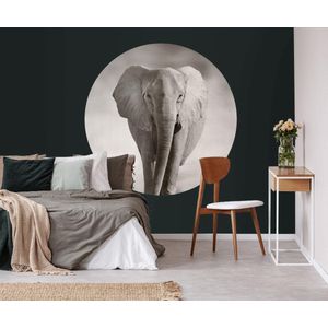 Behangcirkel 60cm Olifant