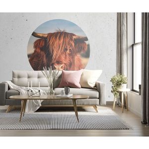 Behangcirkel 60cm Hooglander