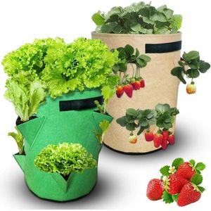 Plantenbak - Plantenzak - 8 vak plantenzak - Aardbeien plantenzak 35 x 45cm - Moestuin zak voor planten en groenten – Beige plantenzak