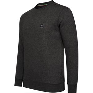 Cappuccino Italia - Heren Sweaters Sweater Antraciet - Grijs