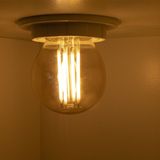 LED Filament amber lamp 4W G45 E27 Dimbaar - 2500K | Warm wit