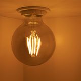 LED Filament Globe lamp smoked | 80mm | 6 Watt | Niet dimbaar | 2200K - Extra warm