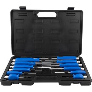 12dlge set schroevendraaiers / schroevendraaierset