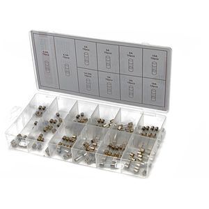 100 Delige Glaszekeringen - Assortiment 5 x 20 mm - 10 stuks van 0,2A tot 15A