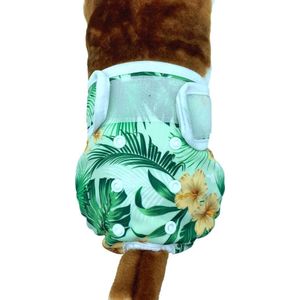 Loopsheidbroekje hond Monstera Maat M - Voor middelgrote honden - Herbruikbaar - Hondenbroekje - hondenluier - loopsheid - ongesteldheid - voorkomt ongewenste zwangerschappen bij teefjes - milieuvriendelijk - verantwoord - perfecte pasvorm
