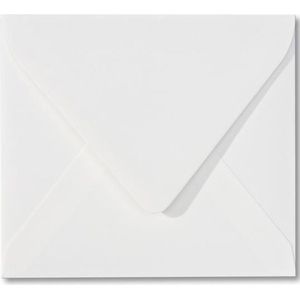 Envelop 12,5 x 14 Biotop, 60 stuks