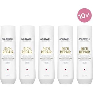 10x Goldwell Dualsenses Rich Repair Restoring Shampoo 250ml