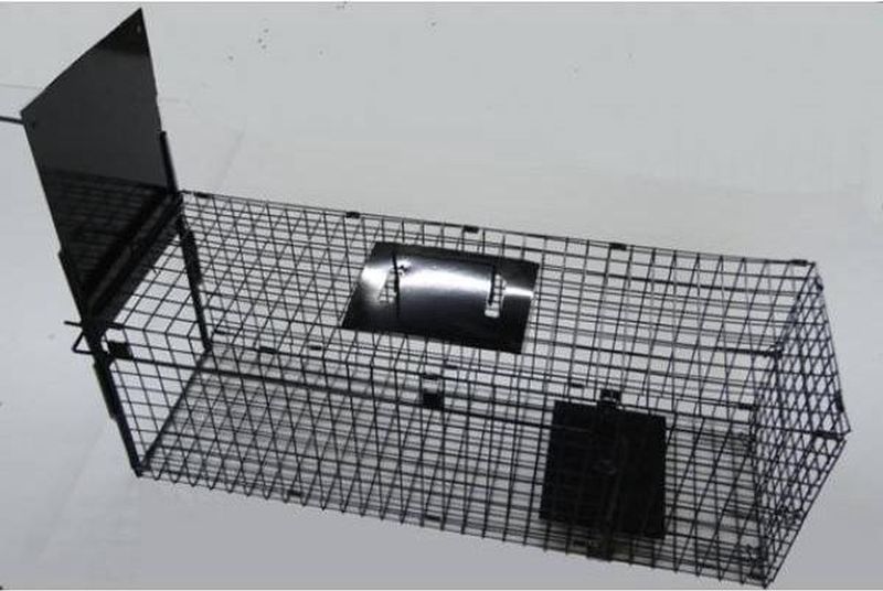 AllesTegenOngedierte.nl Vangkooi - Draadkooi - 1 Valdeur - Geschikt voor Katten