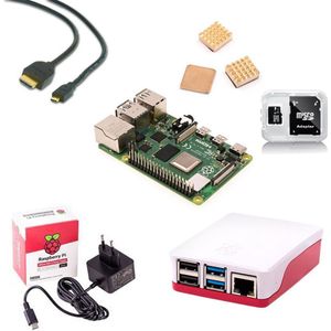 Raspberry Pi 4B 2GB Starter kit