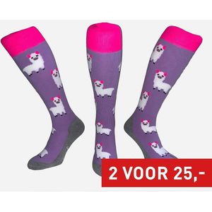 Hingly - Funkousen - Lila - Kniekousen