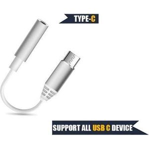 2 in 1 Type C Naar 3.5 MM Hoofdtelefoon Audio Adapter & Splitter zilver Voor Samsung S20  Ipad Pro 2018 Xiaomi huawei en Samsung S20 Note 10 plus Oneolus7 proAlle Type-C Bellen