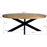 Livingfurn - e Eetkamertafel Oval -  -  Mango Hout  - 180 cm - Bruin