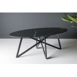 Livingfurn - Eetkamertafel DT- Marble Oval Web Black 210cm - Marmer / Gecoat Staal