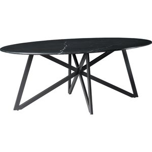 Livingfurn - Eetkamertafel DT- Marble Oval Web Black 210cm - Marmer / Gecoat Staal