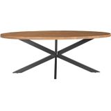 Livingfurn - Eetkamertafel Rocky Oval 240 cm - Mangohout / Gecoat Staal