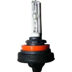 Xenon H9 Lamp 8000K