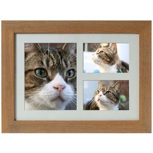 Tribute Dieren Urn met Eiken of Walnoot Fotolijst (3.9 liter)