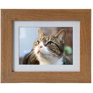 Tribute Dieren Urn met Donker Walnoot Fotolijst (0.55 liter)