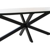 Eettafel Alicia Keramisch Wit Deens Ovaal 240cm - Metaal/Keramiek - Giga Meubel