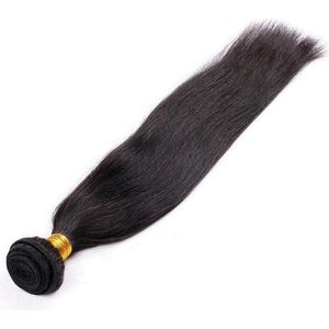 Silky Straight #1B (Natural Black) - 22inch - Virgin Human Hair