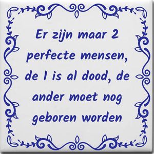 Wijsheden tegeltje met spreuk over Overig: Er zijn maar 2 perfecte mensen de 1 is al dood de ander moet nog geboren worden