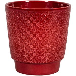 Plantenwinkel Odense Star Bordeaux rode pot 13 cm ronde bloempot voor binnen