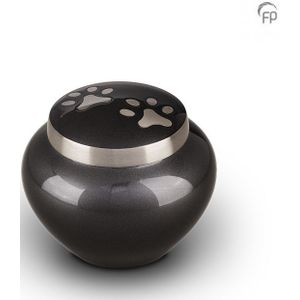 Dieren Urn - Zilverkleur - Messing - Pootafdrukken