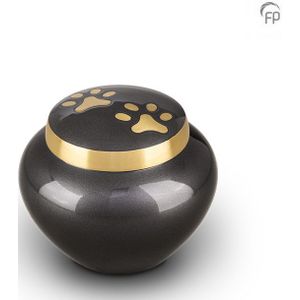 Dieren Urn - Goudkleurig - Messing - Handgemaakt - Voor Huisdier tot 12 Kilo