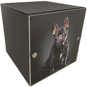 Metalen Photocube Honden Urn - Matzwart - 2 Liter - Voor Honden Tot 50 Kg