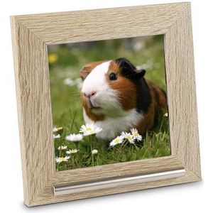 Fotolijst Urn - Blank Geschuurd Hout - RVS Asbuisje - 13x13 cm