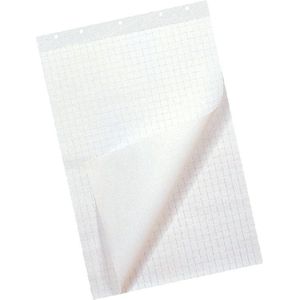 Flipoverpapier 65x100cm, 50 vellen, Blanco Ruit