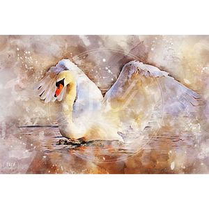 100% Nederlandse Productie! │ Flitzz Diamond Painting │ Aquarel Zwaan│ Formaat 90 x 60 cm │ Diamond Painting Pakket Volwassen │ Volledige bedekking │ Vierkant │ Full │ 75 kleuren