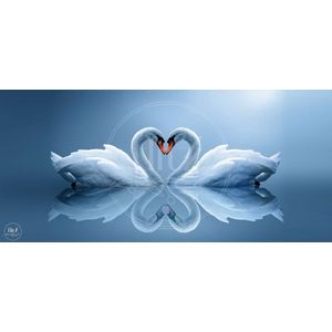 100% Nederlandse Productie! │ Flitzz Diamond Painting │ Zwanen 02 │ Formaat 175 x 80 cm │ Diamond Painting Pakket Volwassen │ Volledige bedekking │ Vierkant │ Full │ 75 kleuren