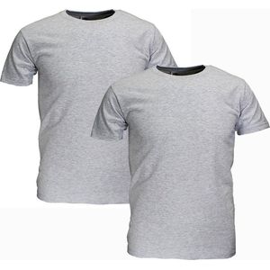 Fruit Of The Loom GROTE MATEN Blanco Katoenen T-Shirts 2-Pack Grijs