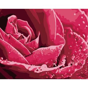 diamond painting roos 20x25 cm ( ronde steentjes )