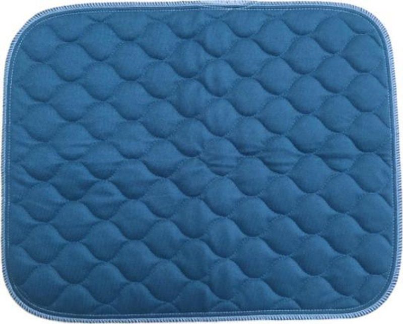 SecoBed - Stoel Onderlegger - 40 X 50cm - BLAUW