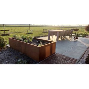 Garden of Steel - cortenstaal plantenbak - zonder bodem - 2000x1000x400 mm