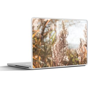 Laptop sticker - 14 inch - Riet - Zon - Plant - 32x5x23x5cm - Laptopstickers - Laptop skin - Cover