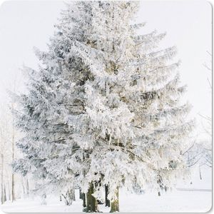 Muismat XXL - Bureau onderlegger - Bureau mat - Winter - Boom - Sneeuw - Den - Wit - 60x60 cm - XXL muismat
