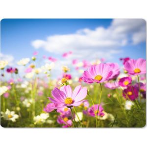 Muismat XXL - Bureau onderlegger - Bureau mat - Bloemen - Wei - Paars - Gras - Wit - Wolken - Blauw - 80x60 cm - XXL muismat