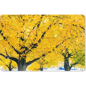 Muismat XXL - Bureau onderlegger - Bureau mat - Boom tijdens herfst - 90x60 cm - XXL muismat