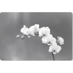 Muismat XXL - Bureau onderlegger - Bureau mat - Orchidee - Bloemen - Plant - Wit - Paars - 120x80 cm - XXL muismat