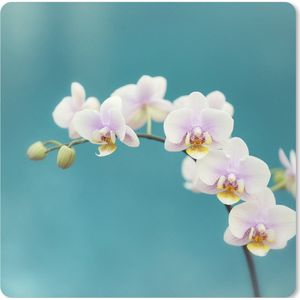 Muismat XXL - Bureau onderlegger - Bureau mat - Orchidee - Bloemen - Plant - Wit - Paars - 40x40 cm - XXL muismat