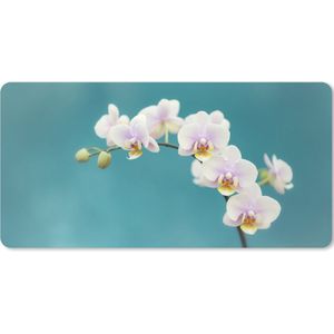 Muismat XXL - Bureau onderlegger - Bureau mat - Orchidee - Bloemen - Plant - Wit - Paars - 100x50 cm - XXL muismat